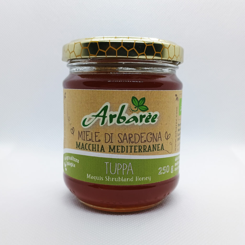 MACCHIA MEDITERRANEA